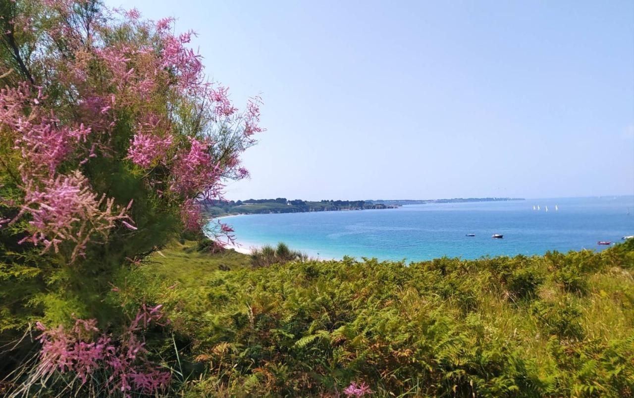 Les Maisons De Kerdavid'Ile - Votre Residence De Vacances A Belle Ile En Mer Locmaria Exteriör bild