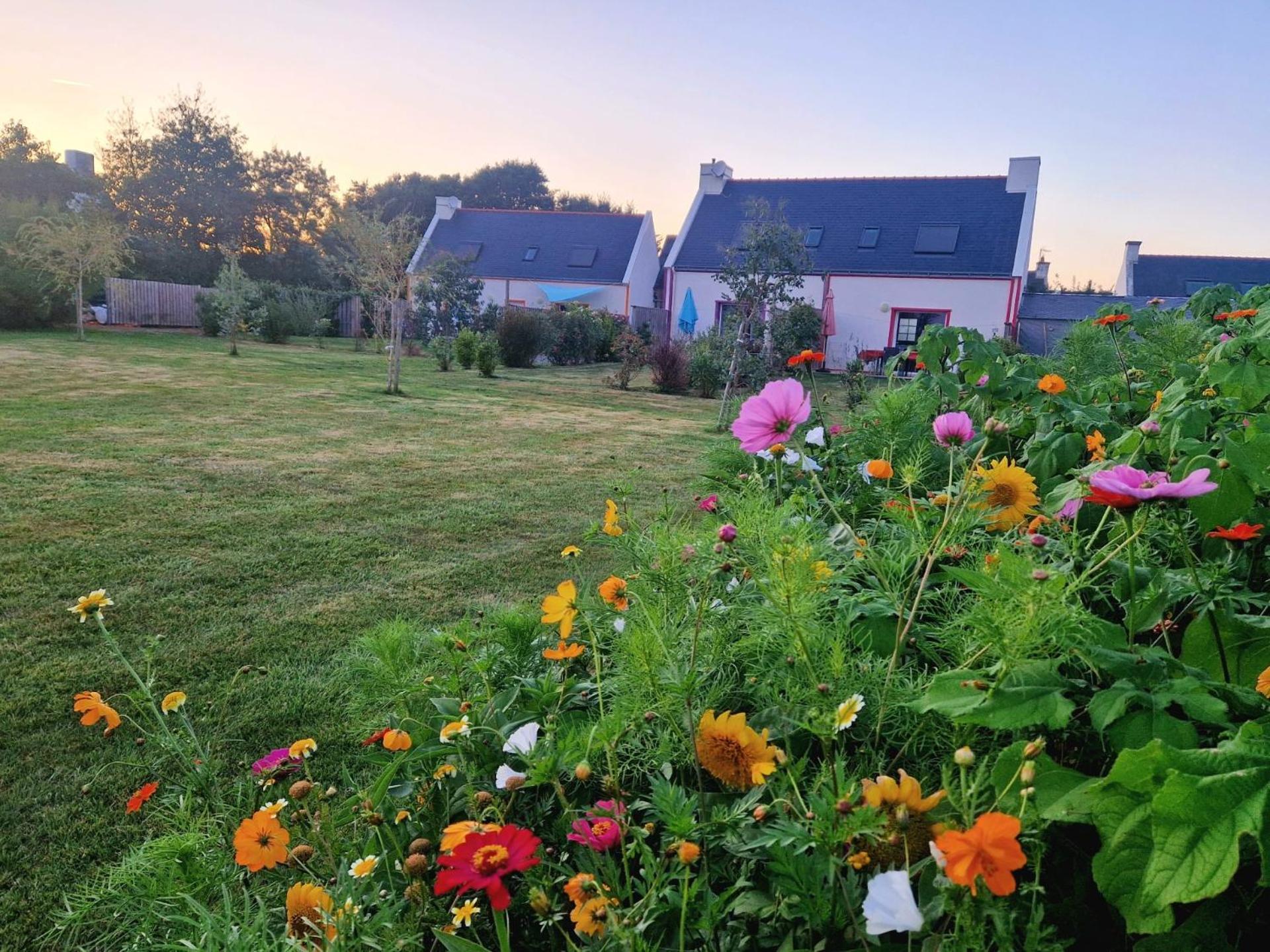 Les Maisons De Kerdavid'Ile - Votre Residence De Vacances A Belle Ile En Mer Locmaria Exteriör bild